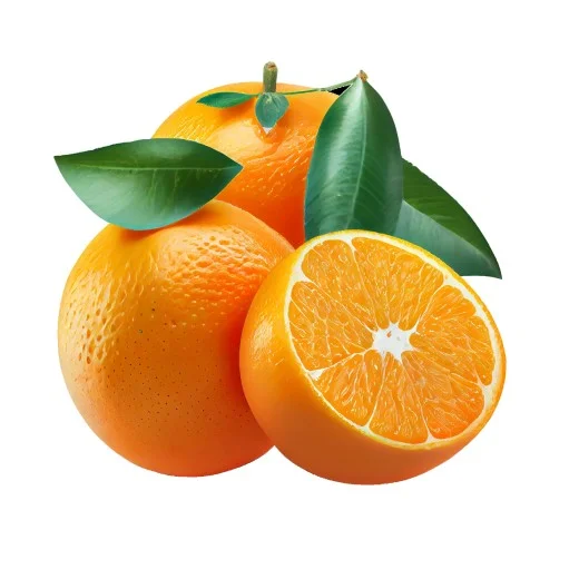 Fresh Orange Fruit