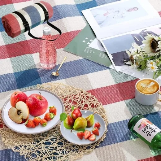 Picnic Mat