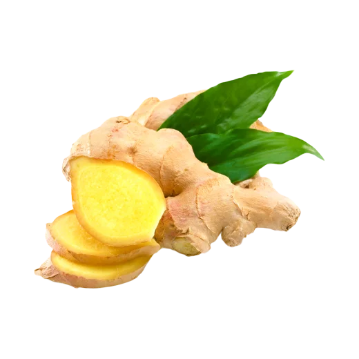 Fresh Genger
