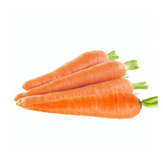 Fresh Carrot
