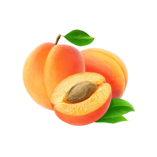 Fresh Apricot  Fruit
