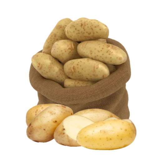 Fresh Potato
